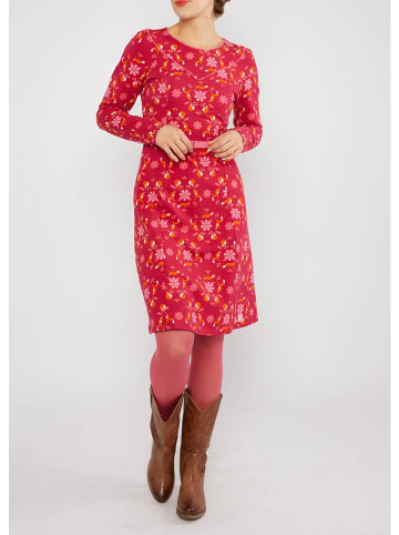 Blutsgeschwister Kleid in Rot