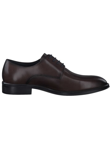 s.Oliver Leder-Schnürschuhe in Braun