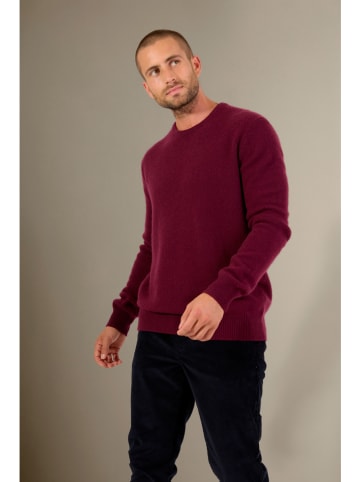 Perfect Cashmere Kasjmieren trui "Eden" beskleurig