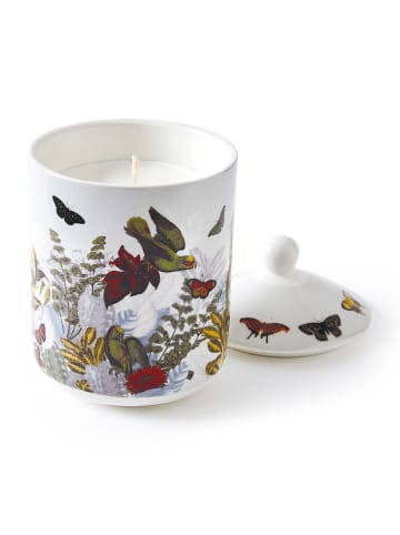 CXL by Christian Lacroix Duftkerze "Jardin D'hiver - Figuier", 315 g