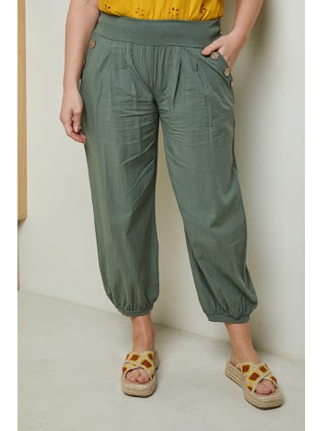Curvy Lady Hose in Khaki