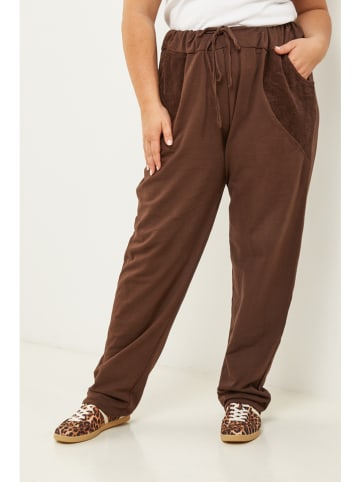 Curvy Lady Broek bruin