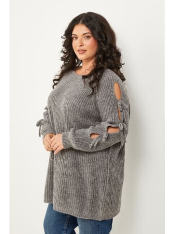 Curvy Lady Trui grijs