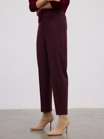 BGN Hose in Bordeaux