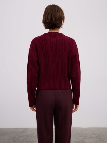 BGN Cardigan in Bordeaux