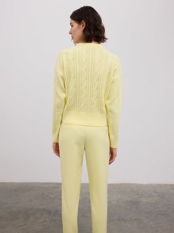 BGN Cardigan in Gelb