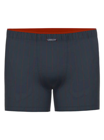 Ammann Boxershorts in Dunkelblau