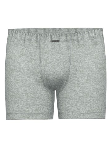 Ammann Boxershorts in Grau