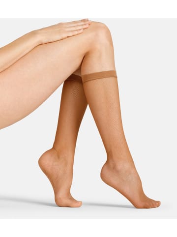 camano Kniestrümpfe in Beige - 50 DEN