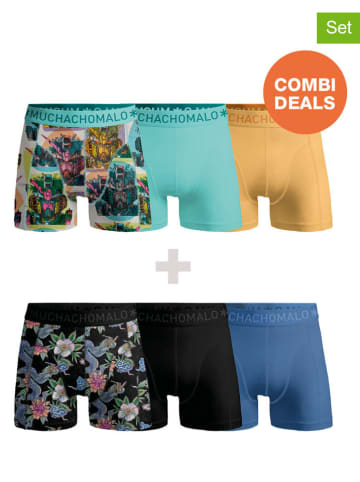 Muchachomalo 6er-Set: Boxershorts in Türkis/ Geelb/ Schwarz
