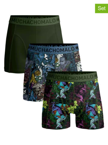 Muchachomalo 3er-Set: Boxershorts in Dunkelgrün/ Blau