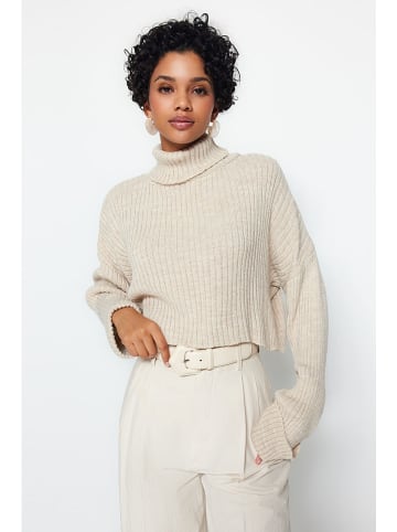 trendyol Rollkragenpullover in Creme