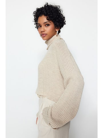 trendyol Rollkragenpullover in Creme