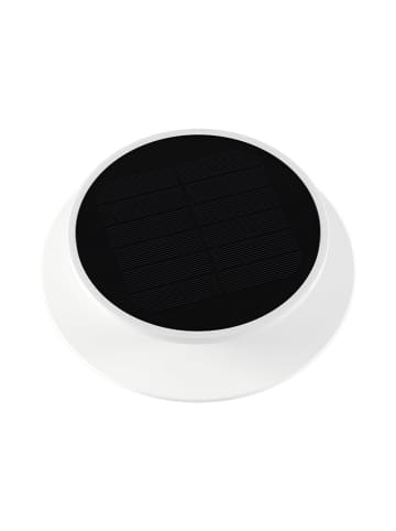 lumisky LED-Solar-Bodenspot ''Solia Spike'' in Weiß/ Schwarz - Ø 16 cm