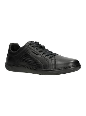 Wojas Leder-Sneakers in Schwarz