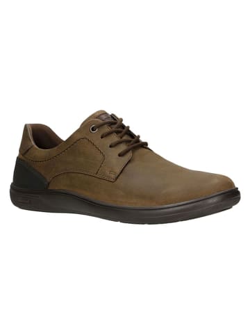 Wojas Leder-Sneakers in Braun