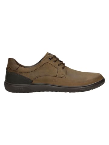 Wojas Leren sneakers bruin