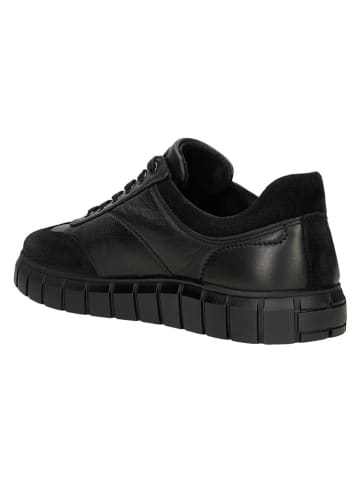 Wojas Skórzane sneakersy w kolorze czarnym