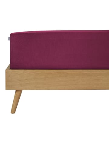 Schiesser Hoeslaken "Flexi" bordeaux