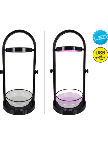 näve LED-Pflanzentischleuchte - EEK A (A bis G) - (H)53,5 cm