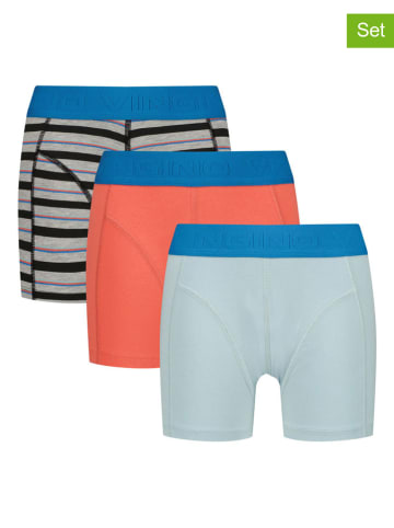 Vingino 3-delige set: boxershorts meerkleurig