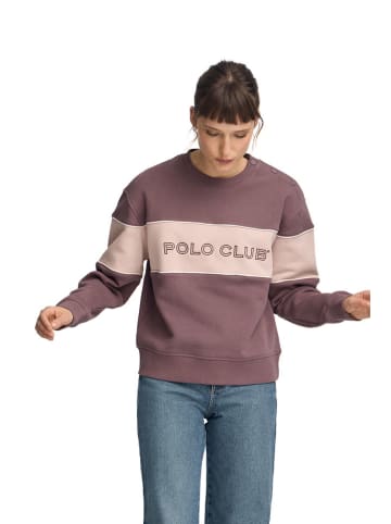 Polo Club Sweatshirt in Hellbraun