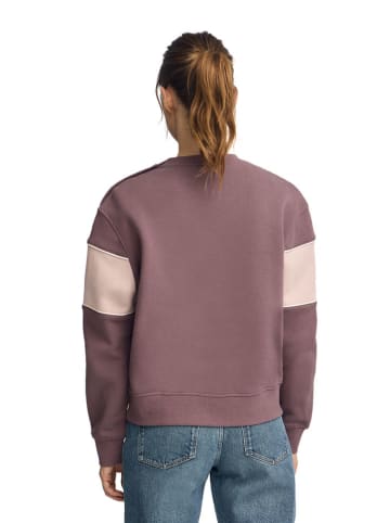 Polo Club Sweatshirt lichtbruin