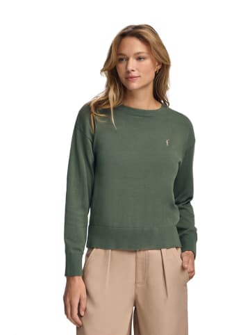 Polo Club Trui groen