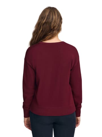 Polo Club Sweter w kolorze bordowym