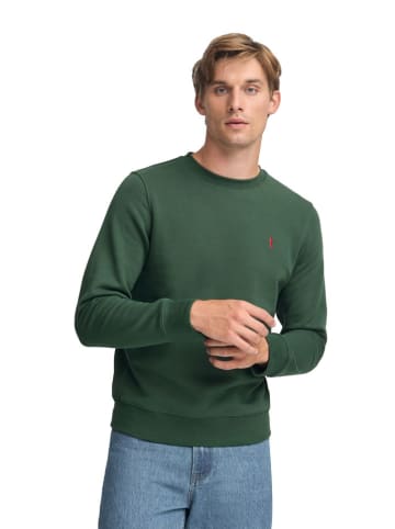 Polo Club Sweatshirt groen