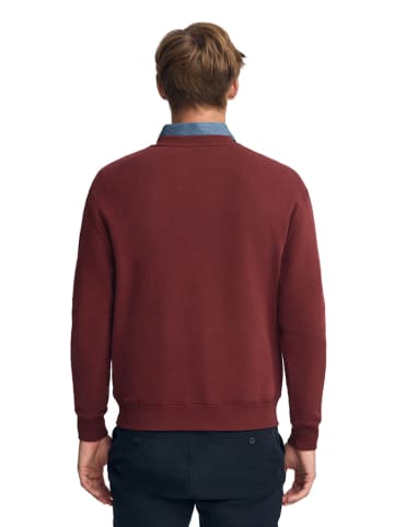 Polo Club Sweatshirt bordeaux