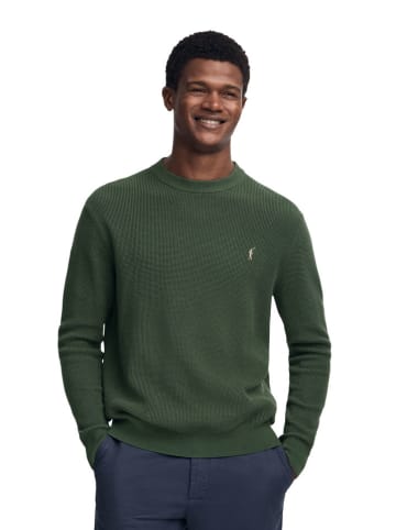 Polo Club Pullover in Grün