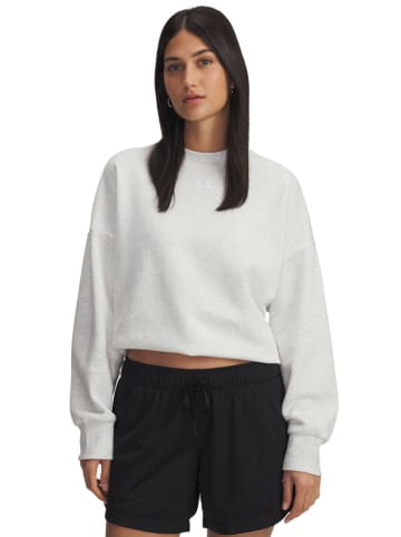 Under Armour Fleecepullover in Grau