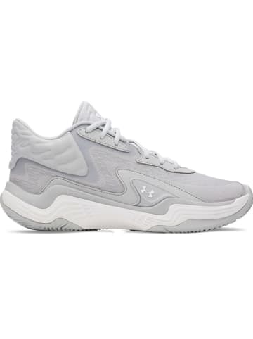 Under Armour Trainingsschuhe in Grau