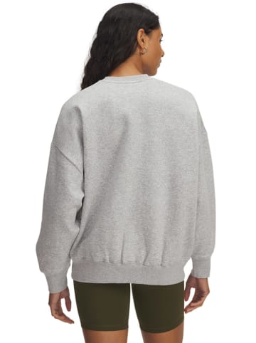 Under Armour Fleecepullover in Grau