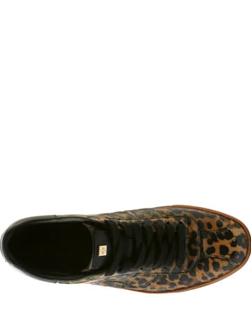 Högl Leder-Sneakers "Cleo" in Hellbraun/ Schwarz