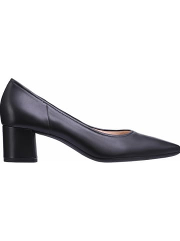 Högl Leder-Pumps "Prestige" in Schwarz