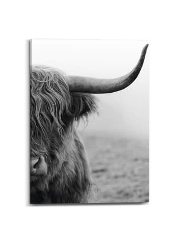 Orangewallz Leinwanddruck "Highland Cattle"