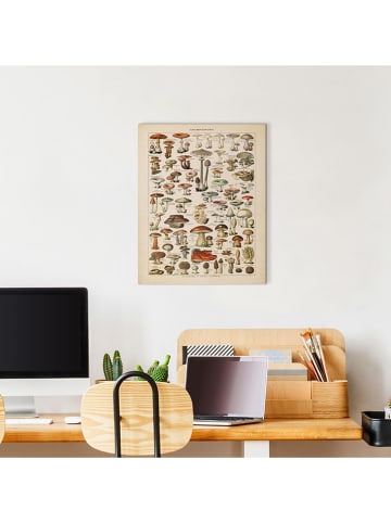 Orangewallz Druk artystyczny "Mushrooms"