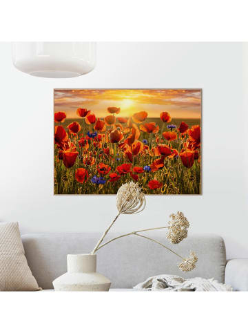 Orangewallz Druk artystyczny "Summer Poppies" w ramce