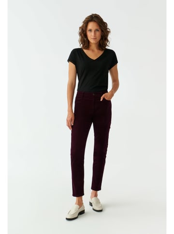 TATUUM Broek bordeaux