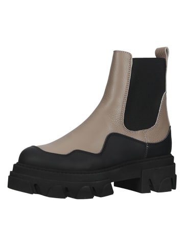 Steve Madden Leren chelseaboots bruin/zwart