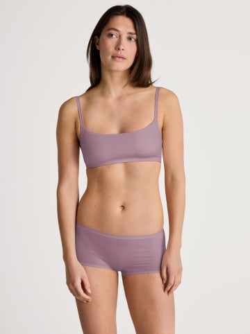 Calida Panty in Lila