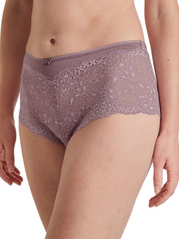 Calida Panty in Rosa