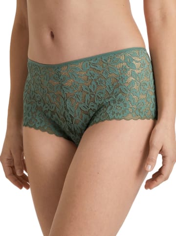 Calida Panty in Grün