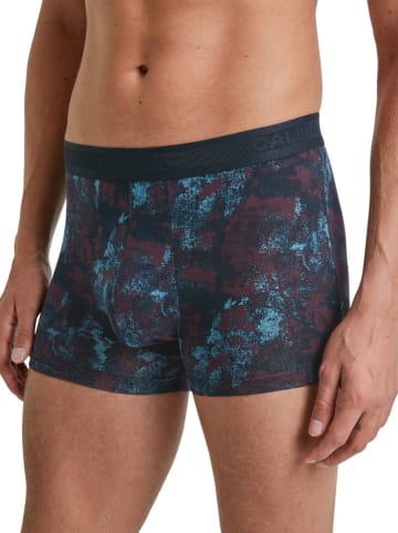 Calida Boxershorts in Dunkelblau/ Lila