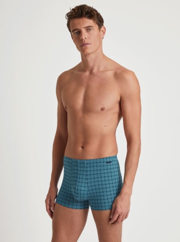 Calida Boxershorts in Blau