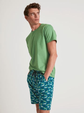 Calida Pyjama-Hose in Blau/ Grün