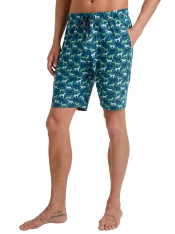 Calida Pyjama-Hose in Blau/ Grün