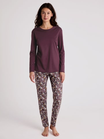 Calida Pyjama in Bordeaux